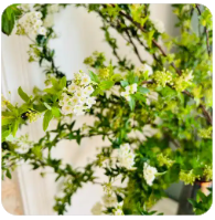 98堂邀请码-色花堂邀请码