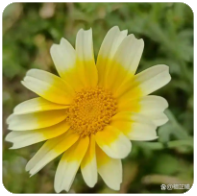 98堂邀请码-色花堂邀请码