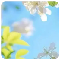 老王论坛账号购买