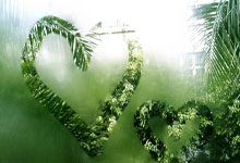 新手必看：关于草榴你不知道的小秘密