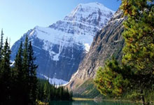 草榴邀请码购买指南：注册流程、账号使用规范及注意事项详解