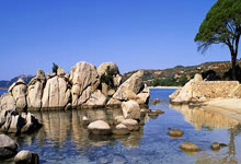 新手科普：什么是草榴邀请码？详解获取方式与作用